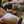 Load image into Gallery viewer, RareCraft Grooming Foam Tortuga - Lockhart&#39;s Authentic Grooming Company, LLC
