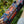 Load image into Gallery viewer, RareCraft Sicilian Sunset Hair Cream - Lockhart&#39;s Authentic Grooming Company, LLC
