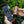 Load image into Gallery viewer, RareCraft Sicilian Sunset Hair Cream - Lockhart&#39;s Authentic Grooming Company, LLC
